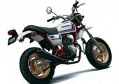 2006 Honda Ape 50 photo